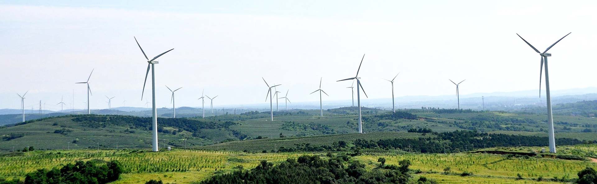 規模龐大的風力發電廠